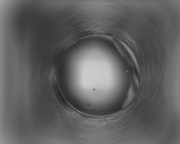 X0000075400029200609151832