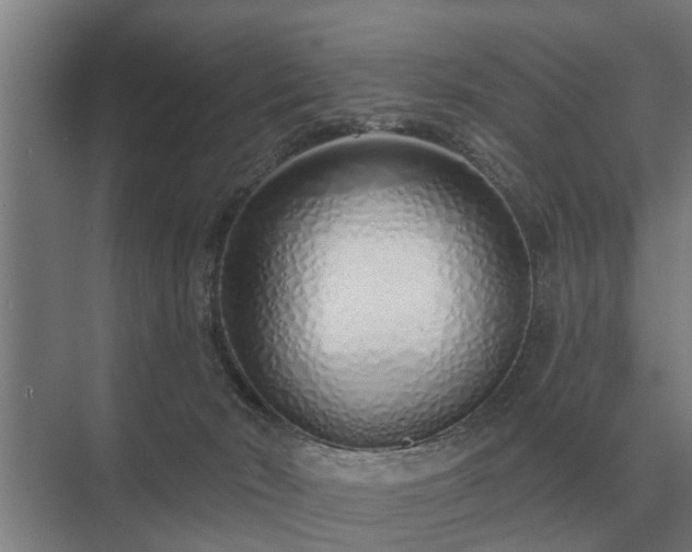 X0000075400030200609151832