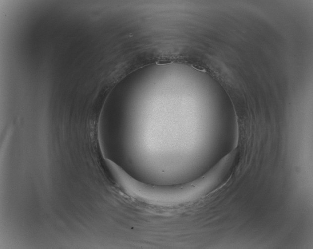 X0000075400033200609151832