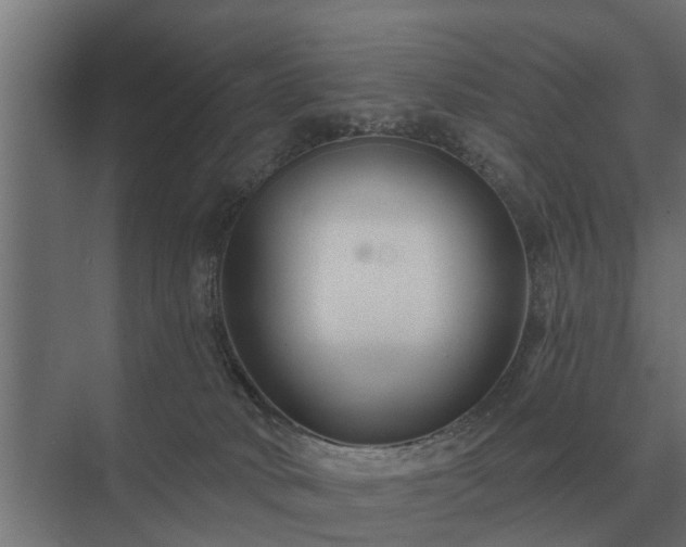 X0000075400034200609151832