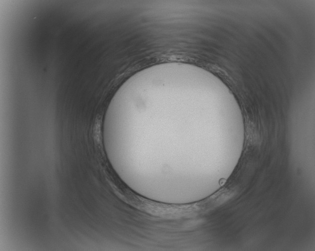 X0000075400036200609151832