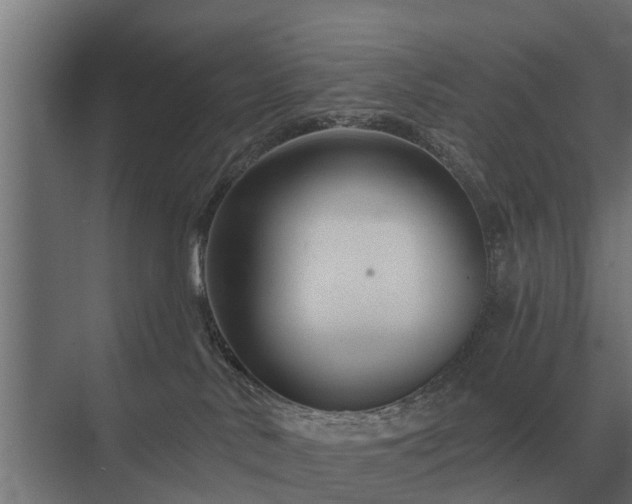 X0000075400042200609151832