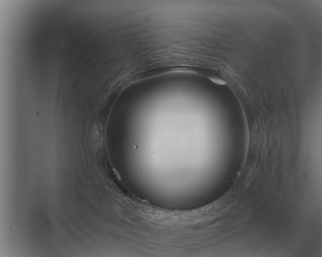 X0000075400043200609151832