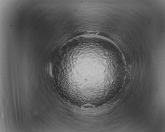 X0000075400046200609151832