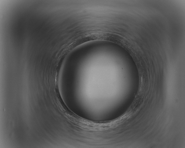 X0000075400048200609151832