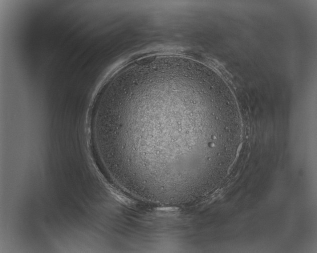 X0000075400053200609151831