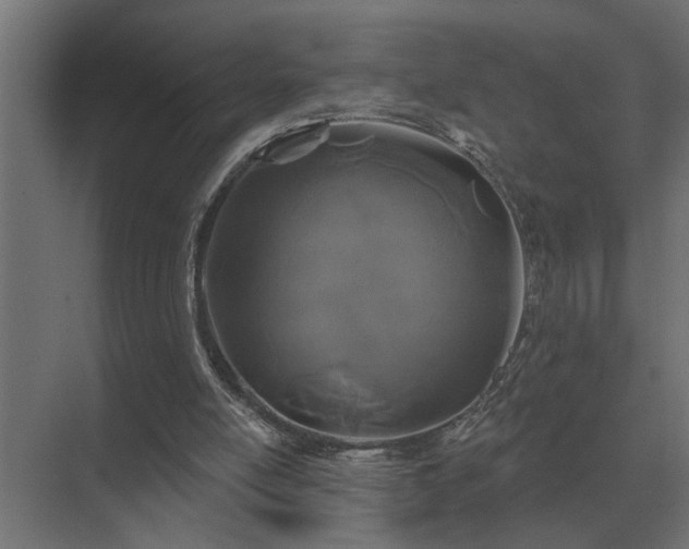 X0000075400054200609151831