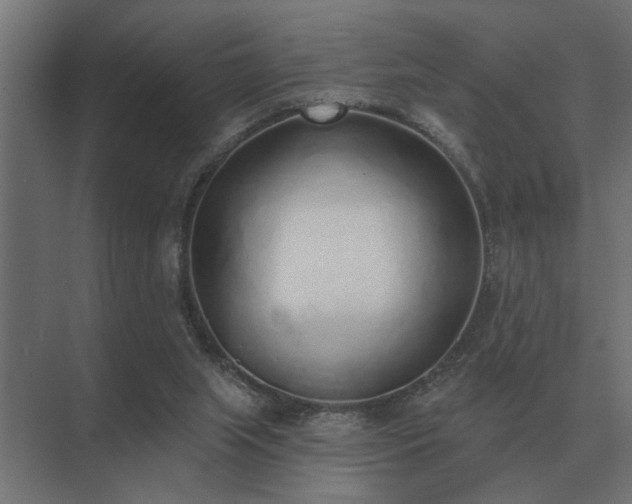 X0000075400063200609151831