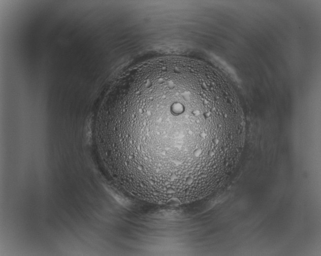 X0000075400065200609151831