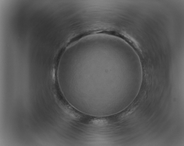 X0000075400067200609151831