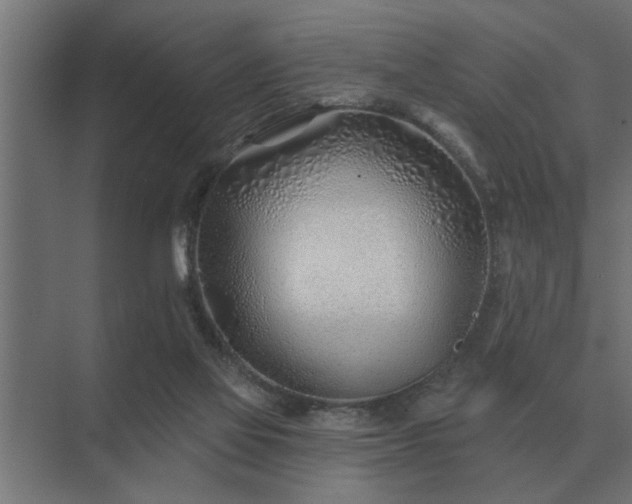 X0000075400069200609151831