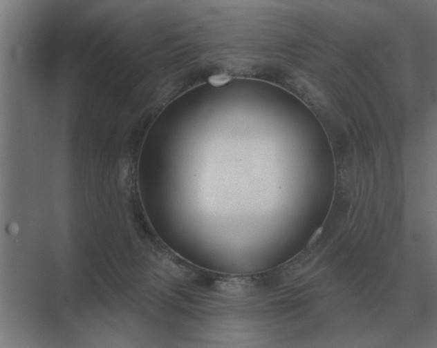 X0000075400079200609151831