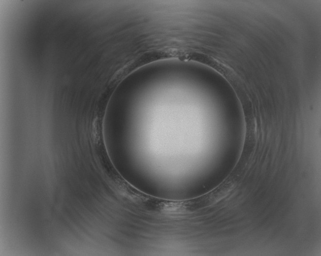 X0000075400088200609151831