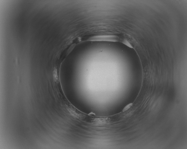 X0000075400089200609151831