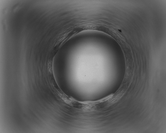 X0000075400096200609151832