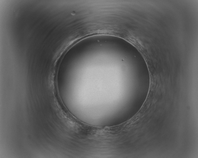 X0000075400098200609151831