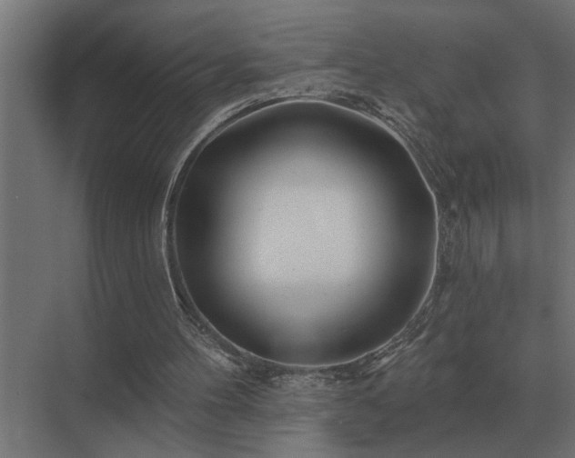 X0000075400100200609151831