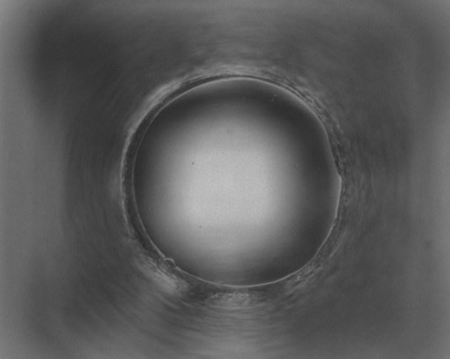 X0000075400104200609151831