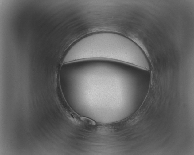 X0000075400109200609151830