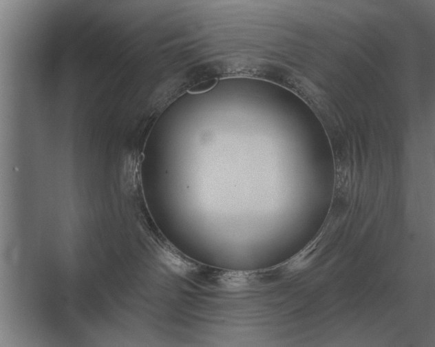 X0000075400142200609151830