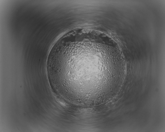 X0000075400147200609151829