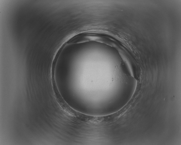 X0000075400148200609151829