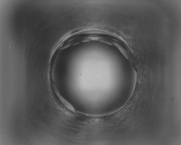 X0000075400152200609151829