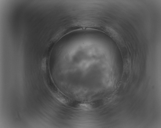 X0000075400167200609151829