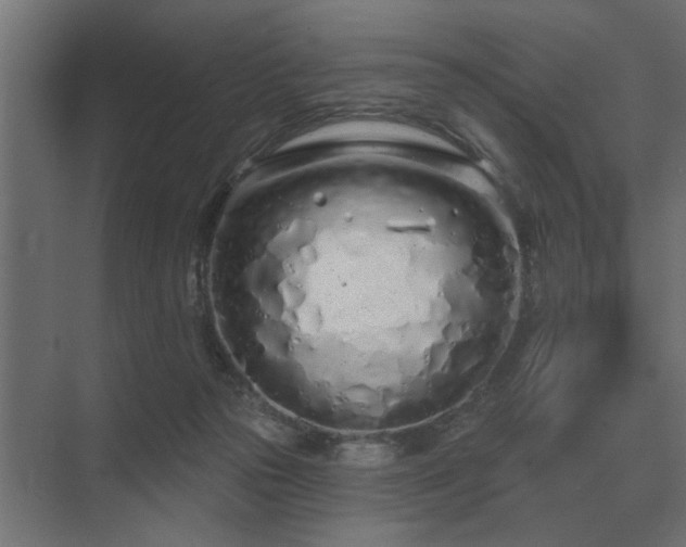 X0000075400169200609151829
