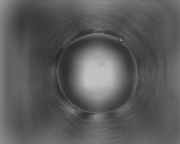 X0000075400184200609151830