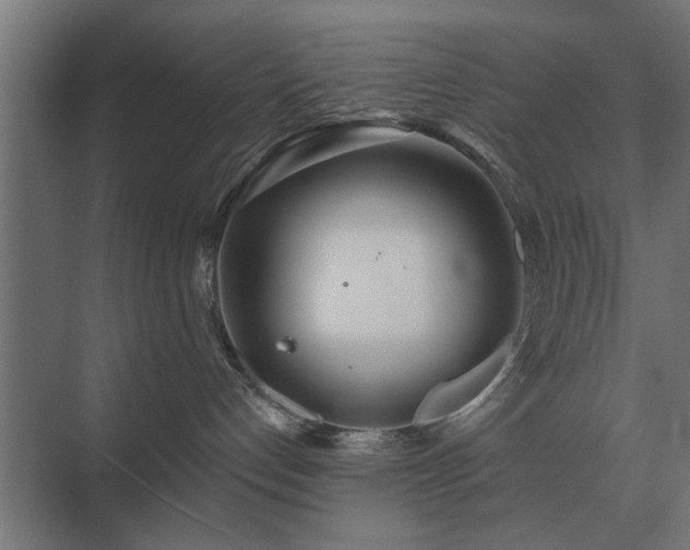 X0000075400192200609151830