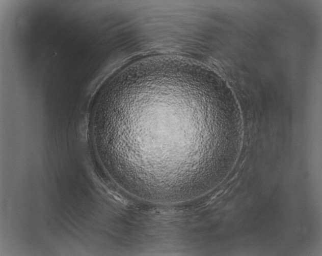 X0000075400194200609151829