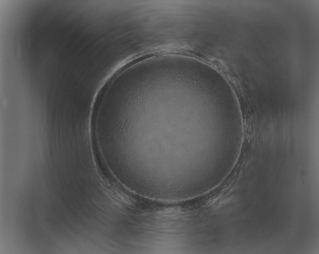X0000075400196200609151829
