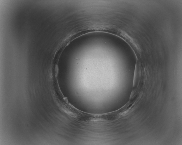 X0000075400203200609151829