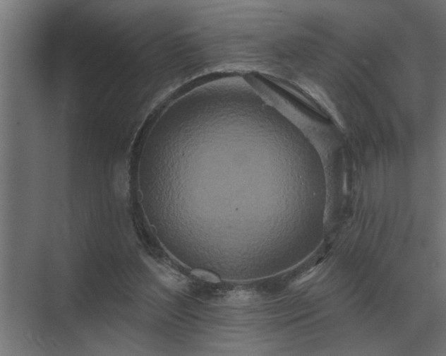 X0000075400204200609151829