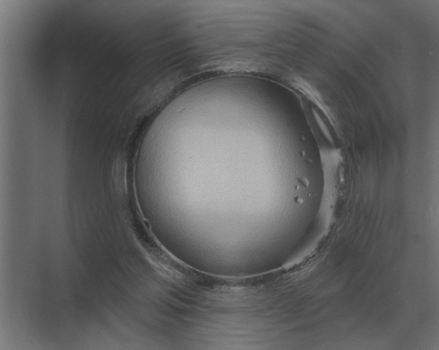 X0000075400205200609151829