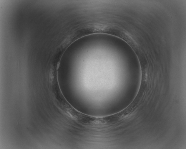 X0000075400215200609151829