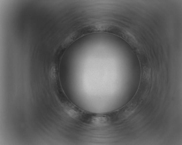 X0000075400220200609151829