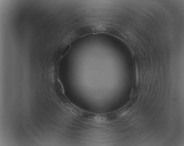 X0000075400223200609151829