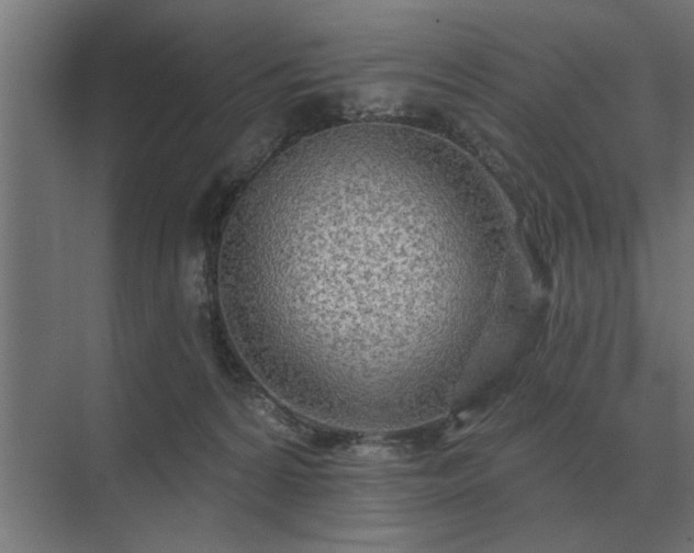 X0000075400224200609151829