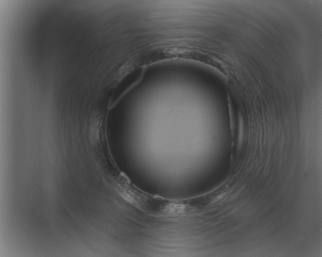 X0000075400227200609151829