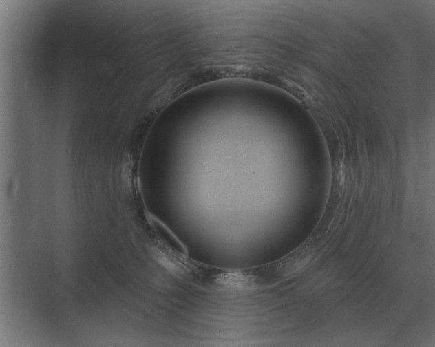 X0000075400231200609151828