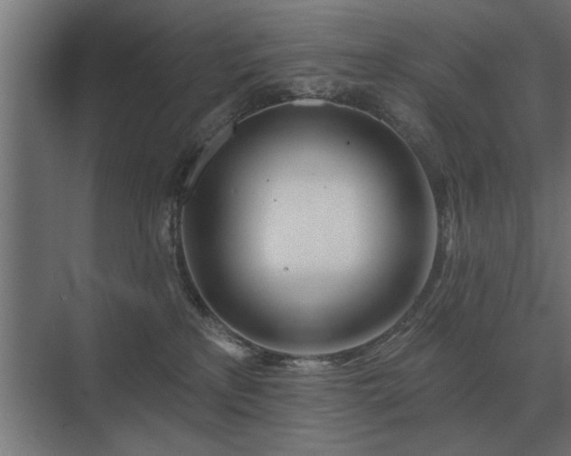 X0000075400233200609151828