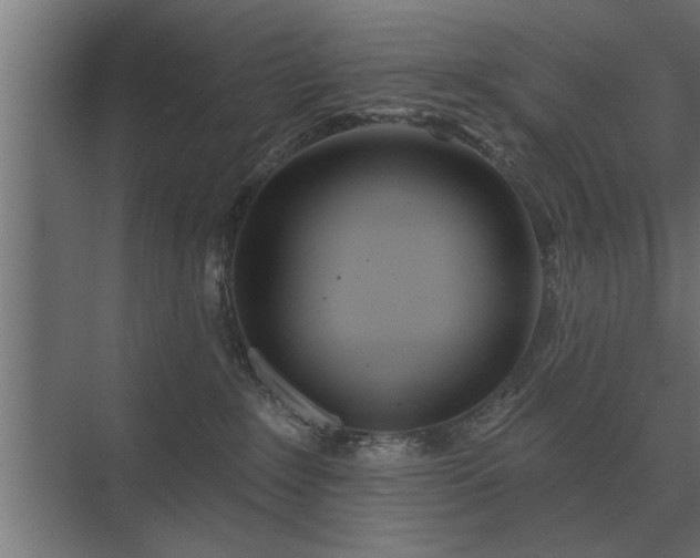 X0000075400235200609151828