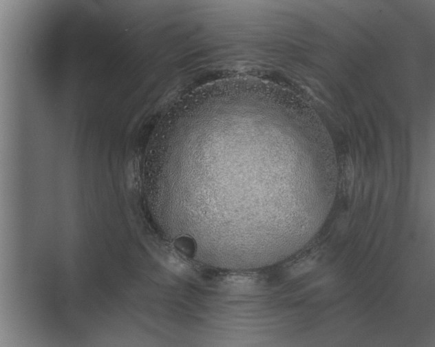 X0000075400236200609151828