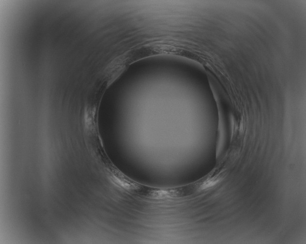 X0000075400239200609151828