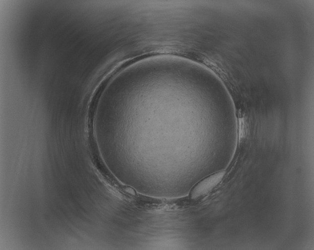 X0000075400243200609151828