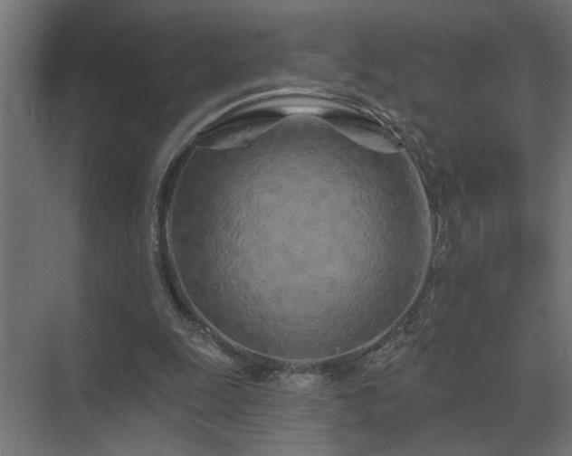 X0000075400247200609151828