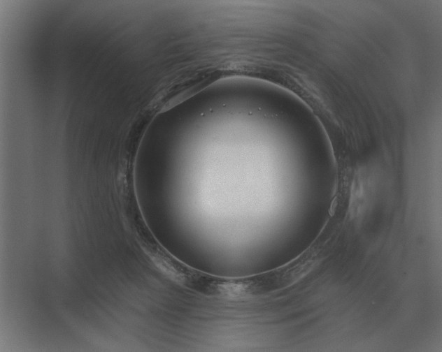 X0000075400265200609151828