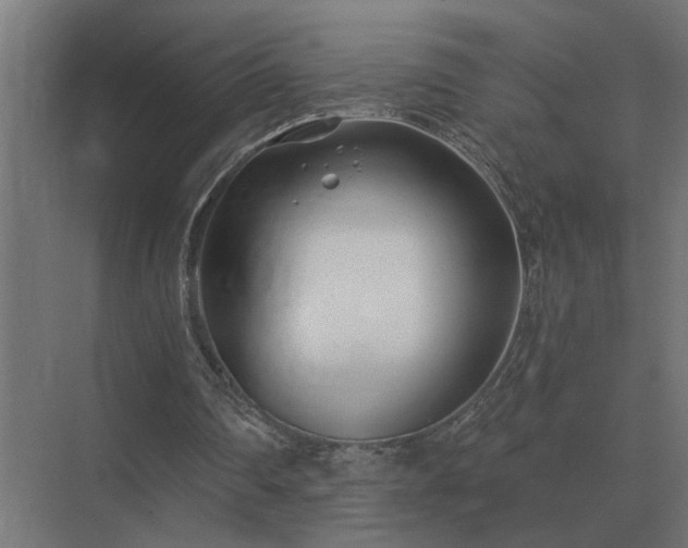 X0000075400290200609151827